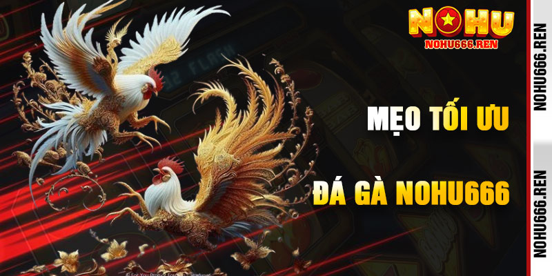 Mẹo Tối Ưu Hóa Chiến Thắng Đá Gà NoHu666