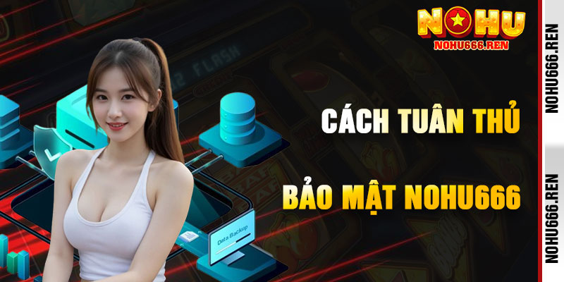 Cách Tuân Thủ Chính Sách Bảo Mật NoHu666