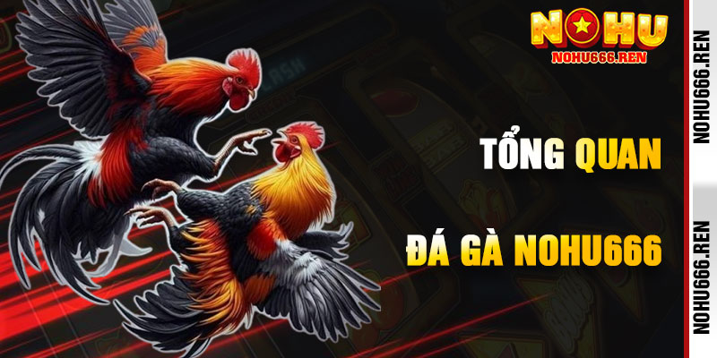 Đắm Chìm Trong Cá Cược Đá Gà NoHu666