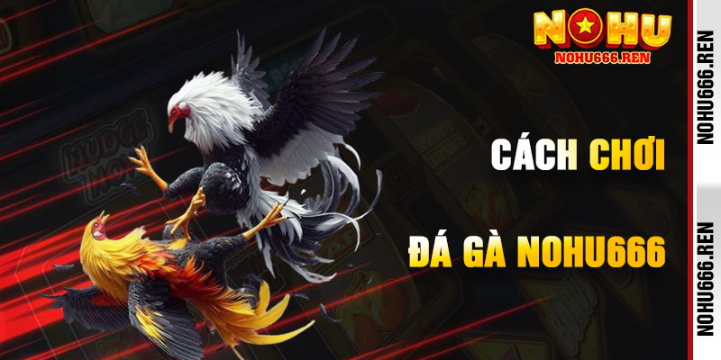 Cách Chơi Đá Gà NoHu666 Hiệu Quả